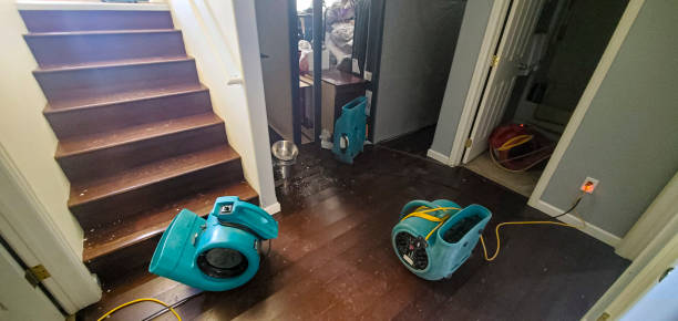 Best Flooded house restoration  in South Temple, PA