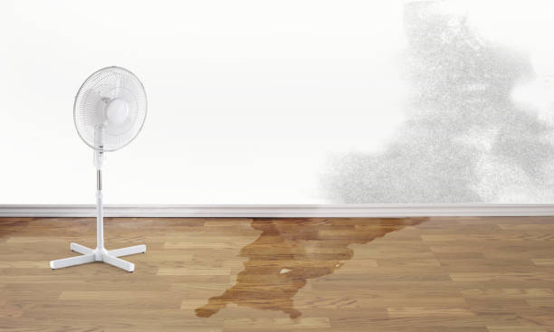 Best Fire Damage Restoration  in South Temple, PA