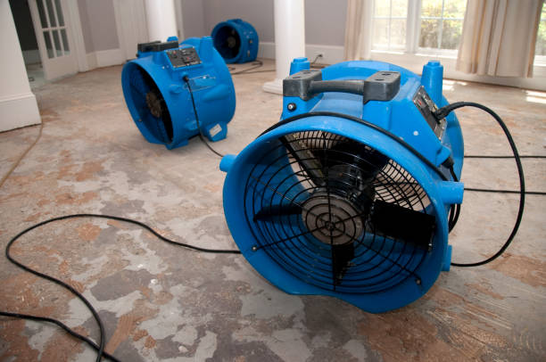 Best Emergency water extraction  in South Temple, PA