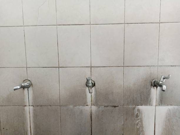 Best Water damage repair service  in South Temple, PA