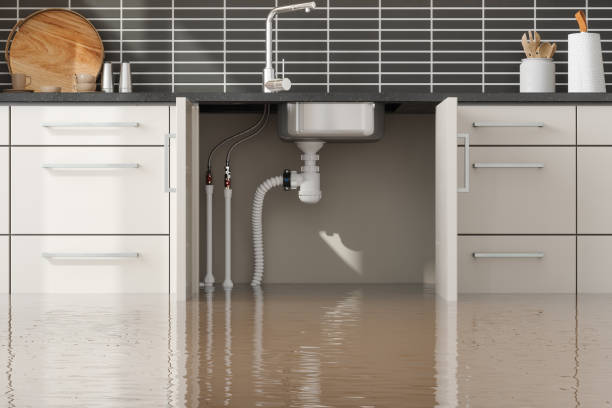 Best Water damage restoration cost  in South Temple, PA