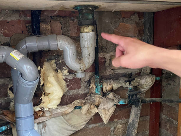  South Temple, PA Water damage restoration Pros