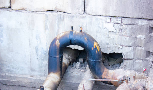 Best Water damage restoration mold remediation  in South Temple, PA