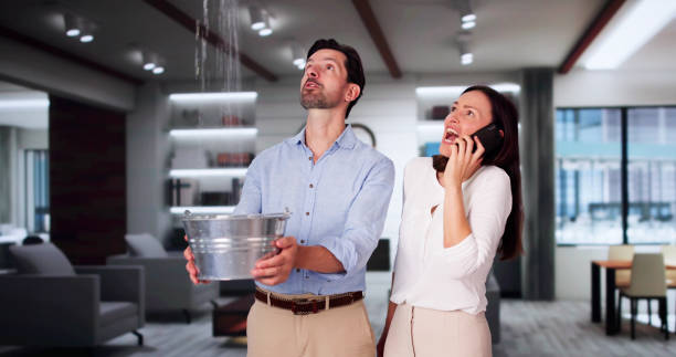 Best Carpet water damage restoration  in South Temple, PA